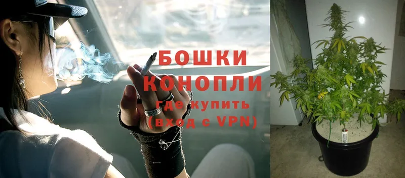 Конопля White Widow  Беслан 